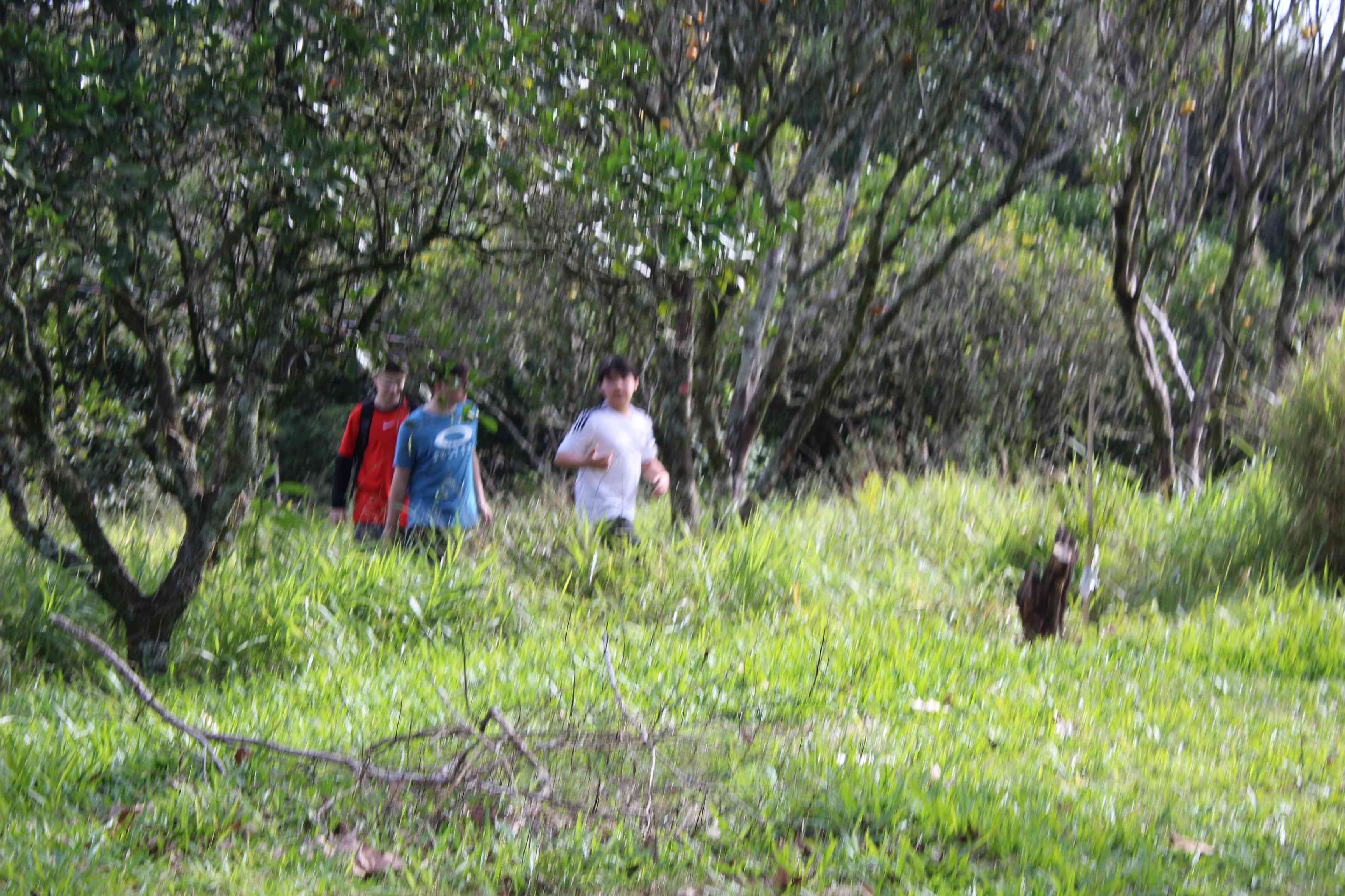 IMG_0227.JPG